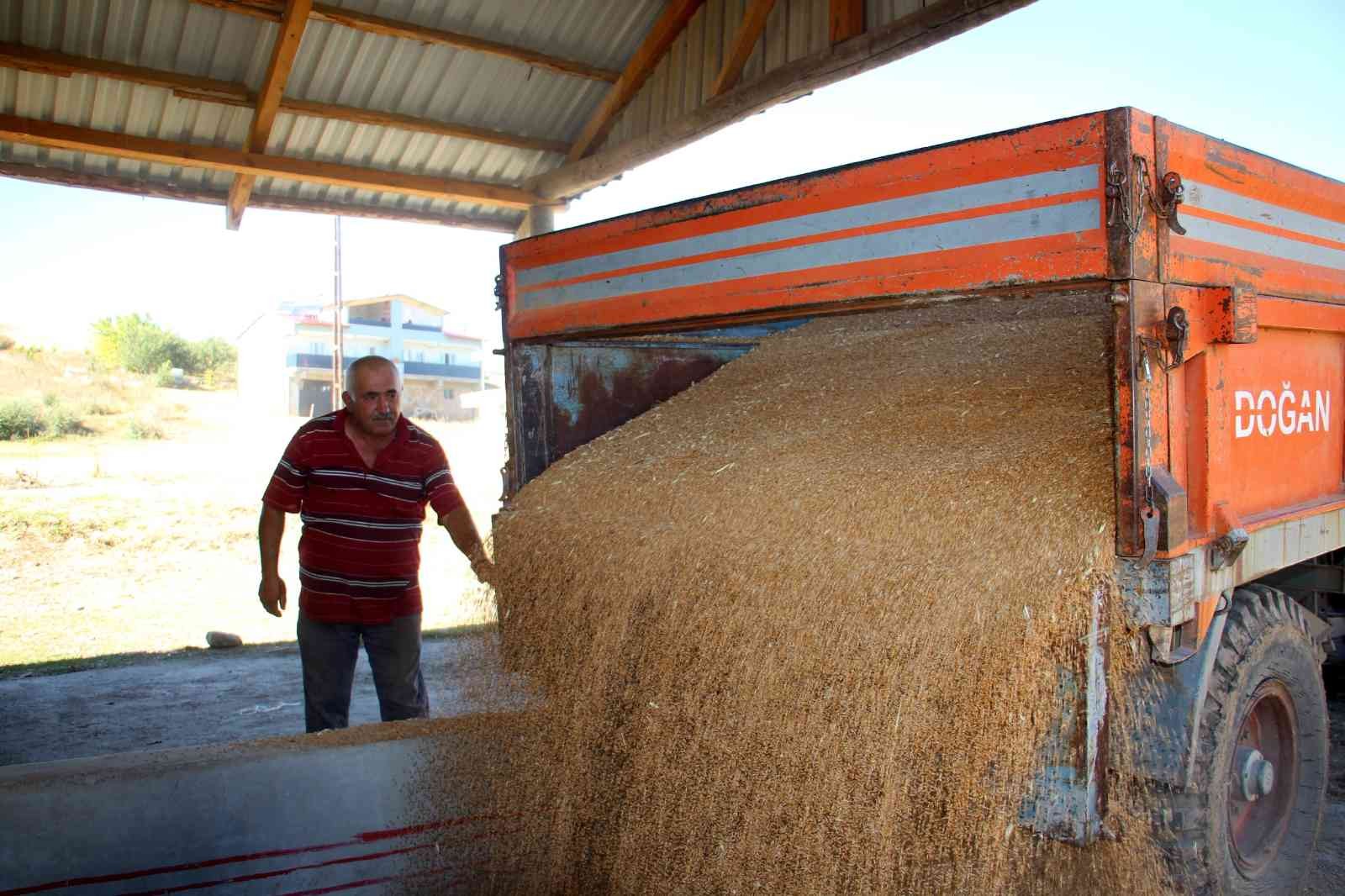 Buğday üretiminde rekor kırılan Sivas’ta yeni sezona hazırlık başladı