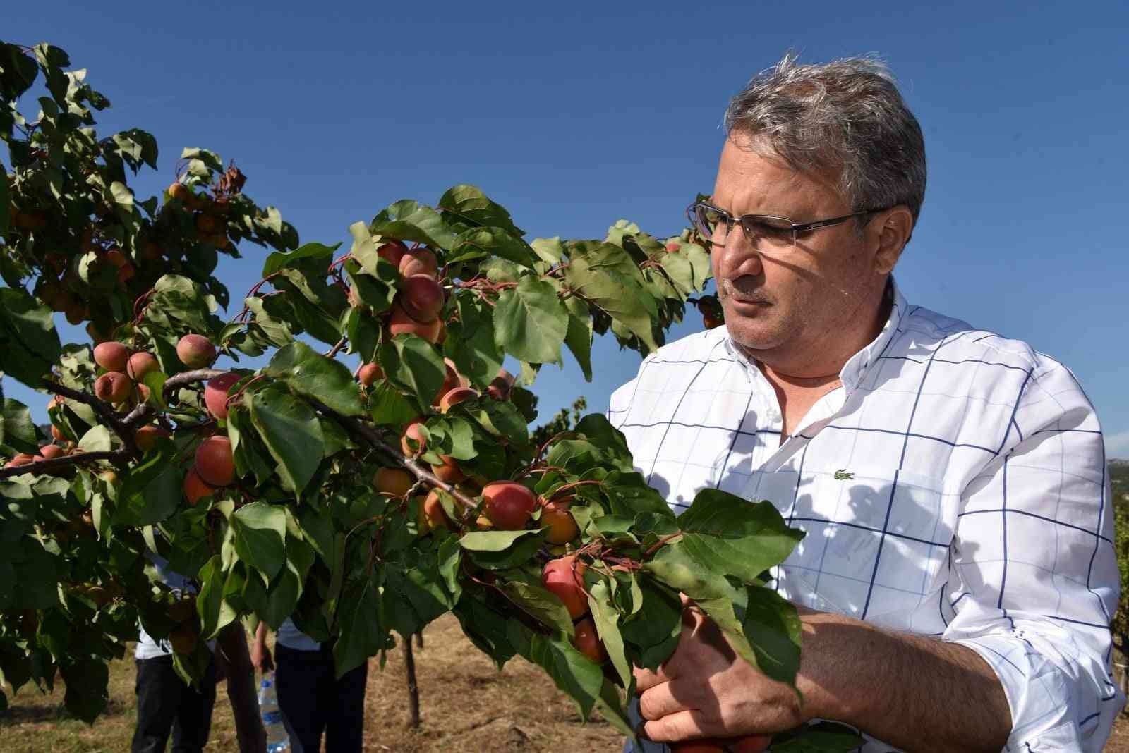 Yunusemre üreticisine desteğini sürdürüyor