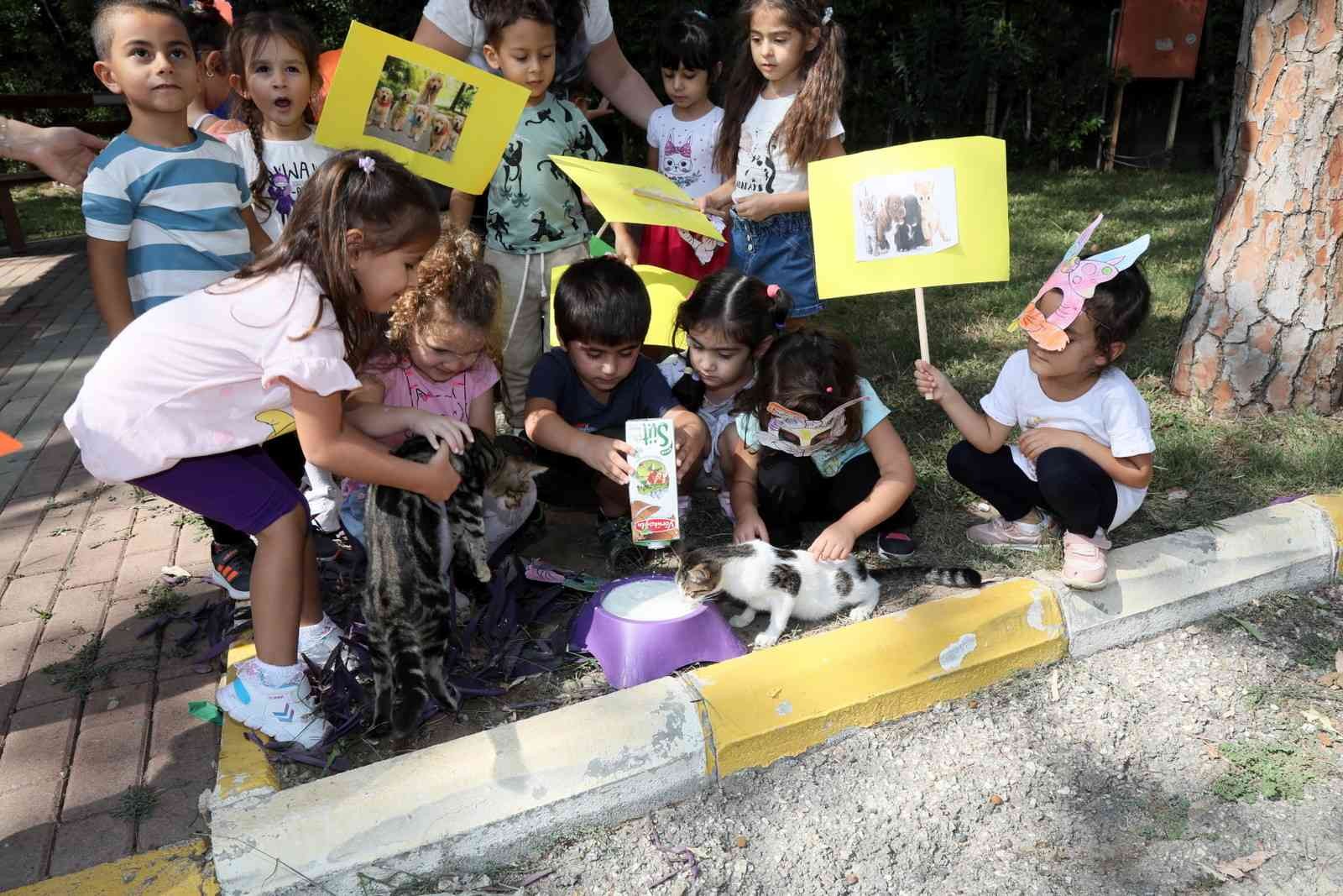 Manavgat Belediyesi’nin kreş öğrencileri sokak hayvanlarını besledi