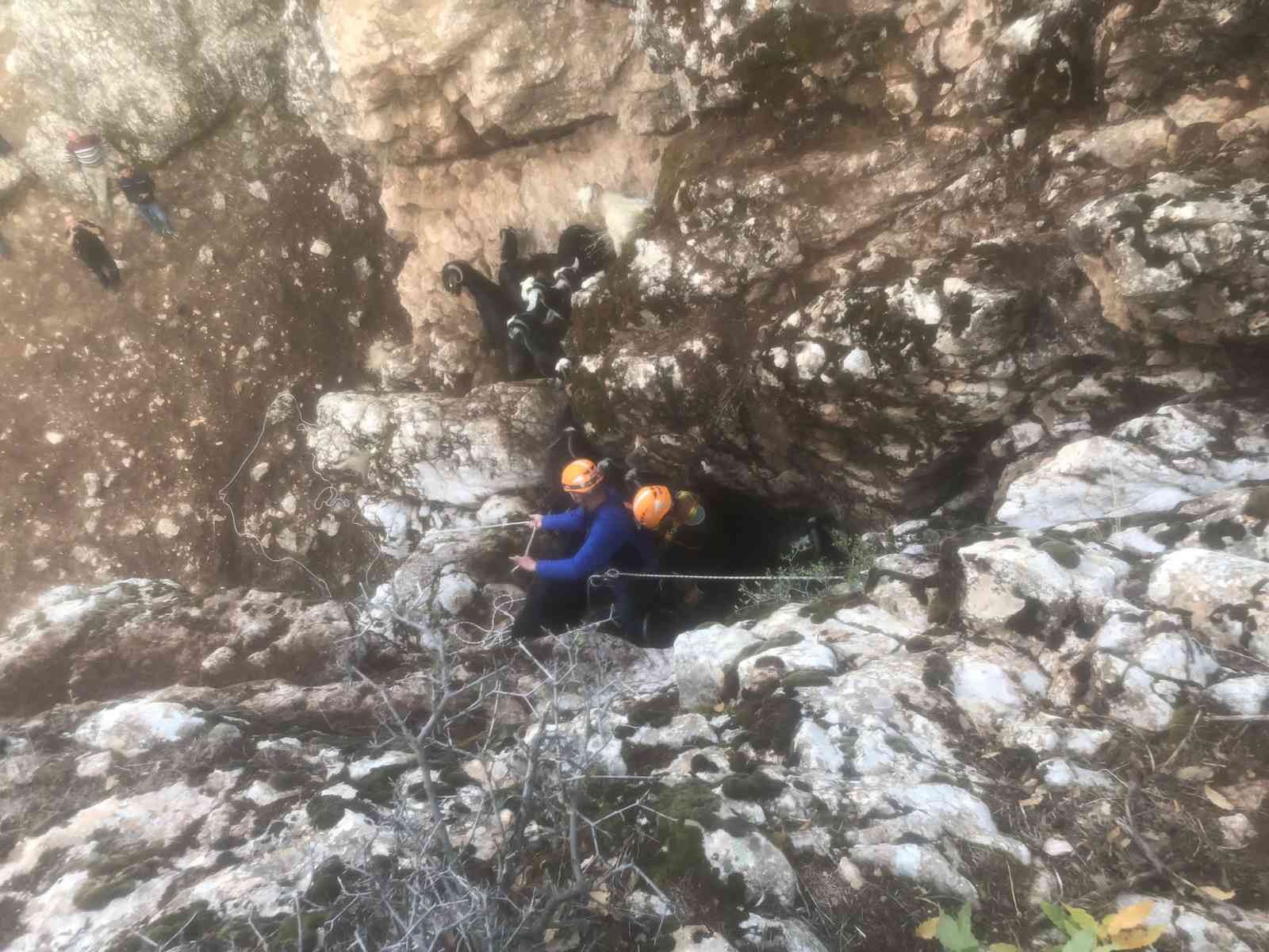 Mahsur kalan keçileri AFAD ekipleri kurtardı