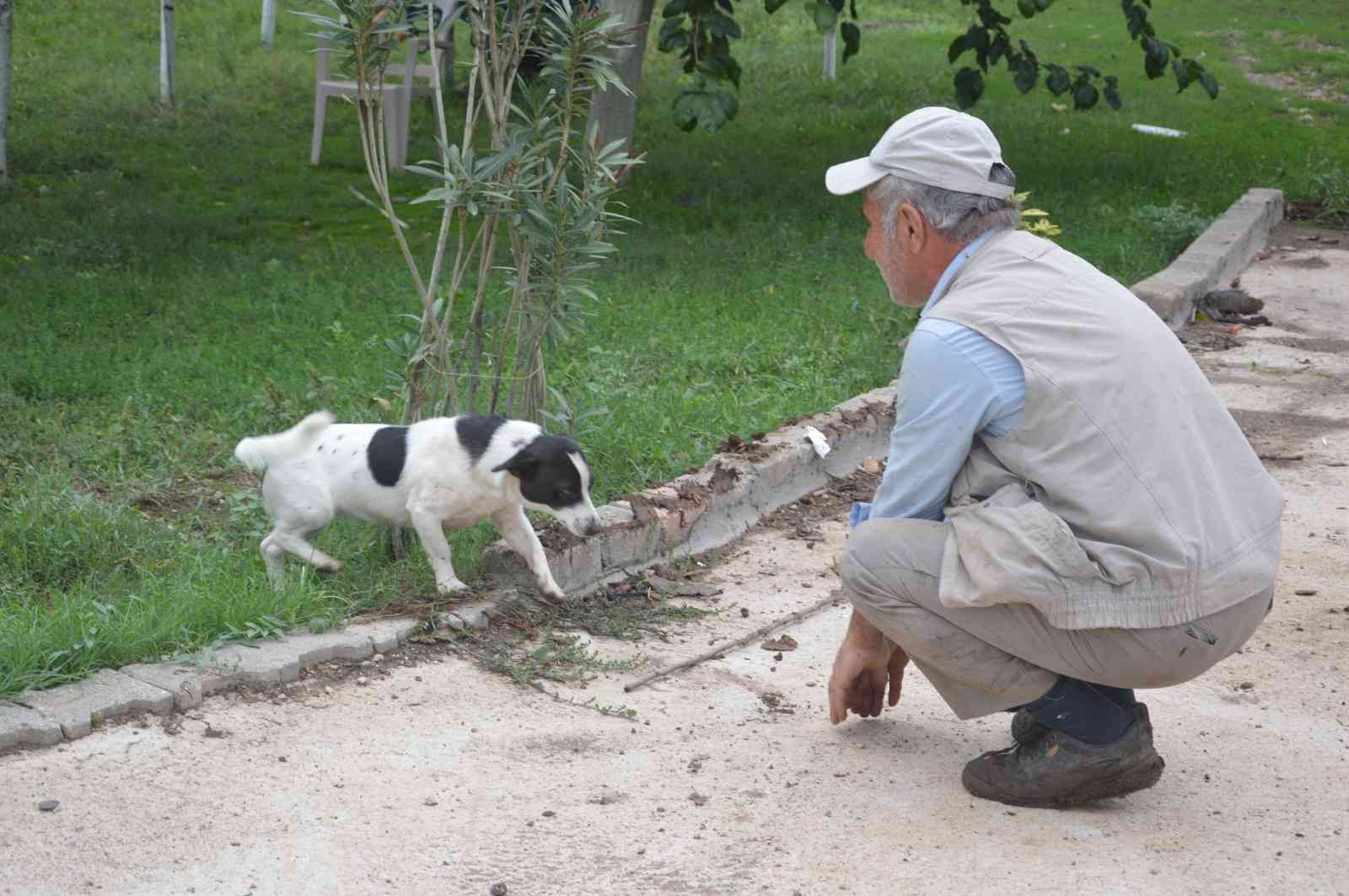 Haber yaparken köpeğin saldırısına uğradı