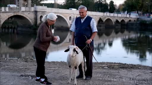 “Evladımız” dedikleri kuzu yaşlı çiftin can dostu oldu