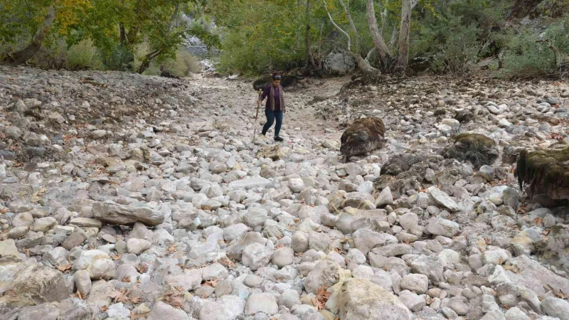 Antalya’da Üzümdere Irmağı kurudu, yavru alabalıklar telef oldu