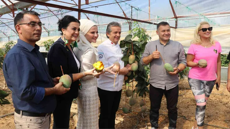 Alanya’da tropikal hasat şöleni