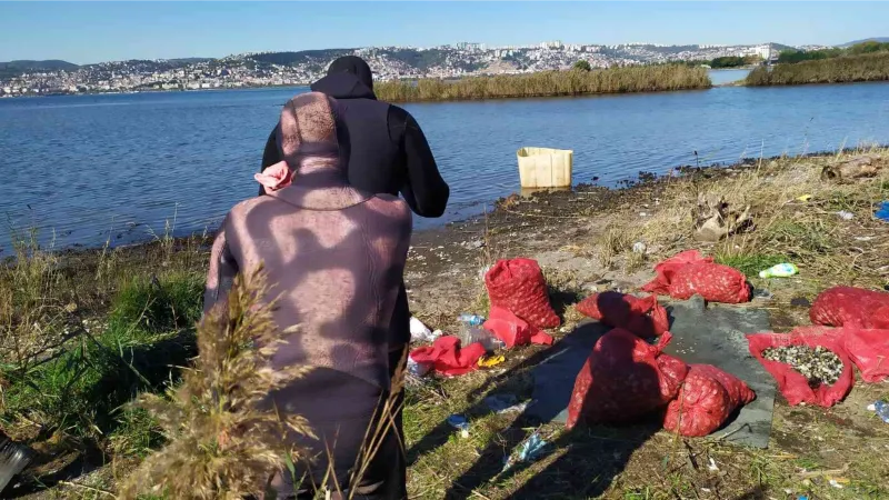 Kaçak midyecilere deniz polisi baskını: 5 midyeciye ceza kesildi