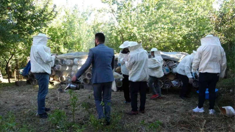 Van’da davullu zurnalı bal hasadı