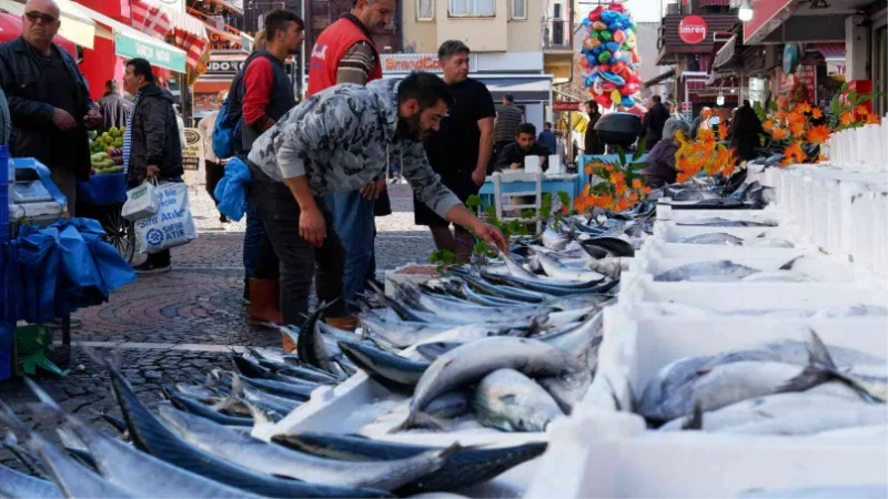 Yer gök palamut: Tanesi 100 TL’den satılıyordu bugün 3 tanesi 100 TL