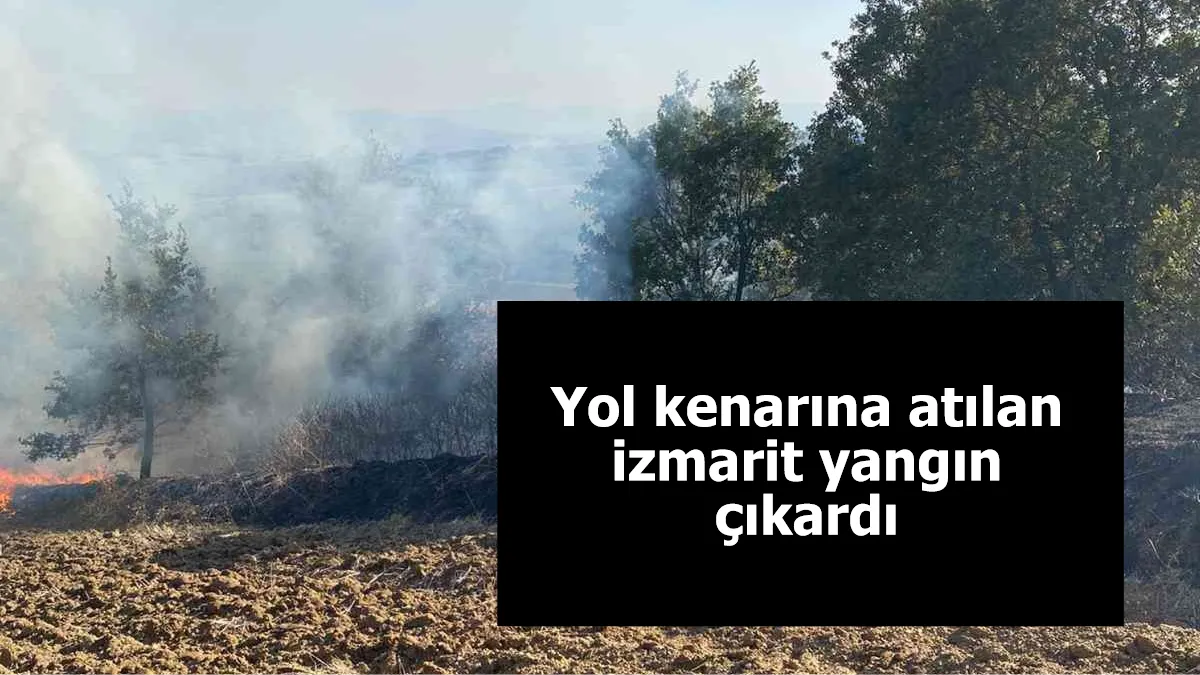 Yol kenarına atılan izmarit yangın çıkardı