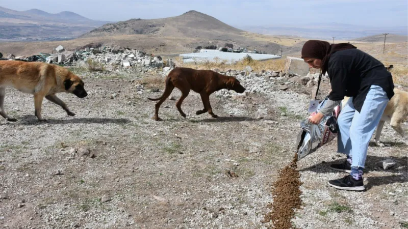 Kocasinan Gençlere Hayvan Sevgisi Aşılıyor