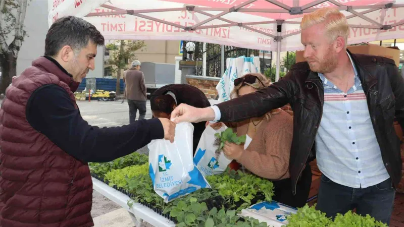 Vatandaşlara 178 bin 200 sebze fidesi dağıtıldı