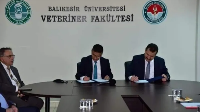 BAÜN’de "Damızlık Koç Üretim Merkezi" kuruluyor