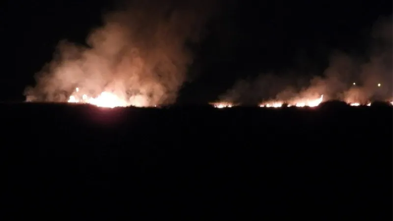 Milleyha Kuş Cenneti’nde yangın çıktı