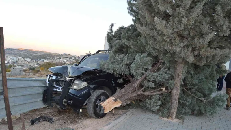 Kontrolden çıkan kamyonet ağaca çarparak durabildi