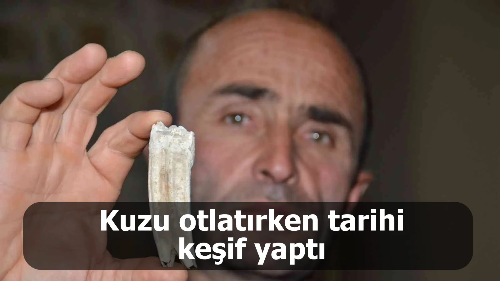 Kuzu otlatırken tarihi keşif yaptı