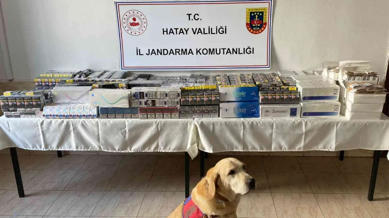 Hatay’da 11 bin 140 paket kaçak sigara ele geçirildi