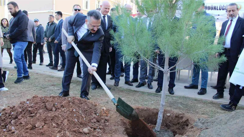 Aydın’da 109 bin fidan toprakla buluştu