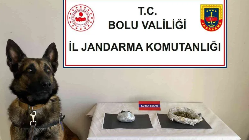 Uyuşturucu taşıyan yolcuları dedektör köpek yakaladı