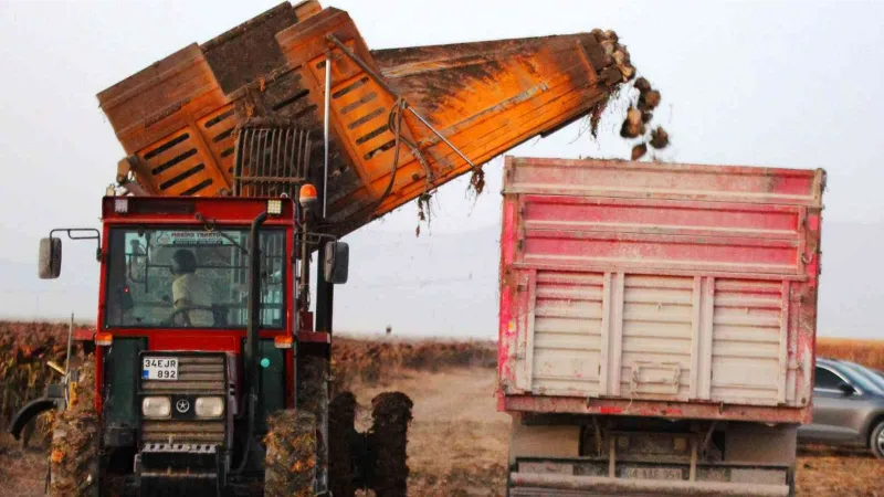 Konya’da 1 milyon dekar alanda şeker pancarı hasadı devam ediyor