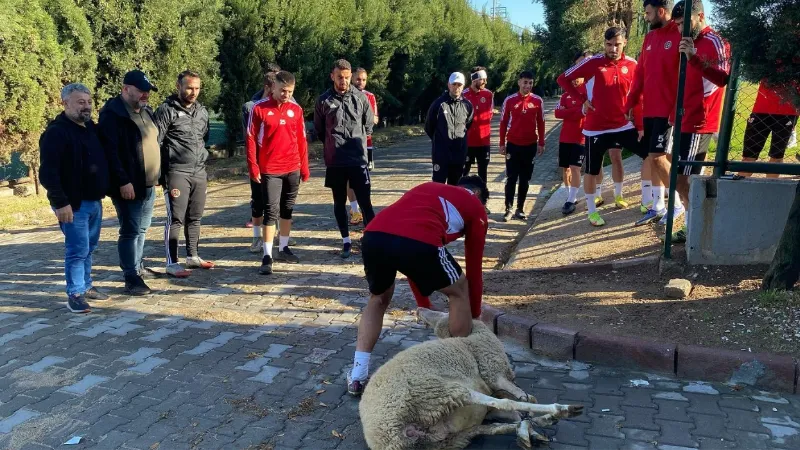 Turgutluspor, Ayvalıkgücü Belediyespor karşılaşması öncesi kurban kesti