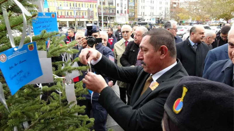 Ağaca astıkları notlarla kadına yönelik şiddete ‘dur’ dediler