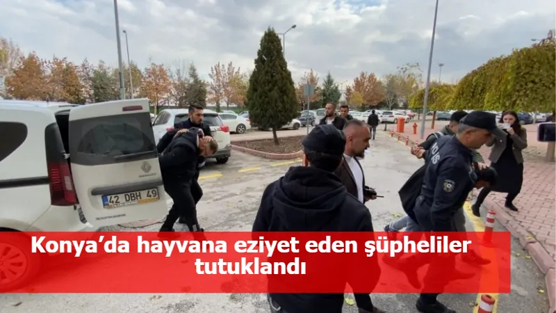 Konya’da hayvana eziyet eden şüpheliler tutuklandı