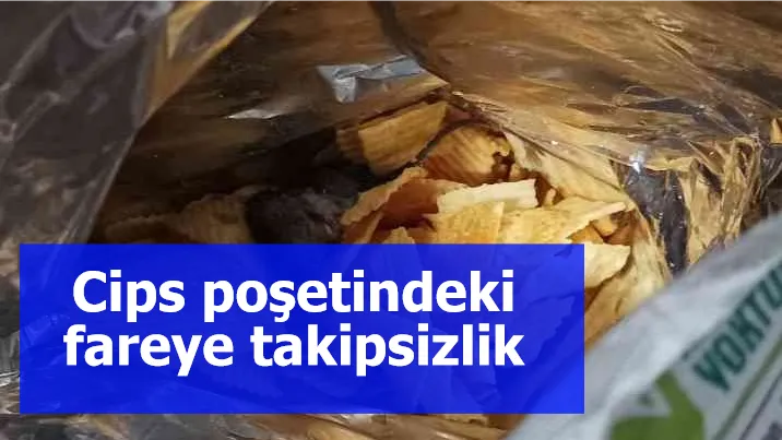 Cips poşetindeki fareye takipsizlik