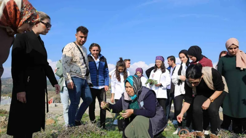 Üniversite öğrencilerine geleneksel tarım ve yenebilir otlar öğretildi