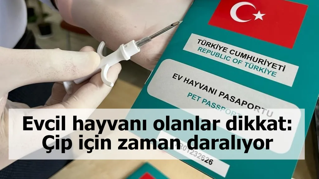 Evcil hayvanı olanlar dikkat: Çip için zaman daralıyor