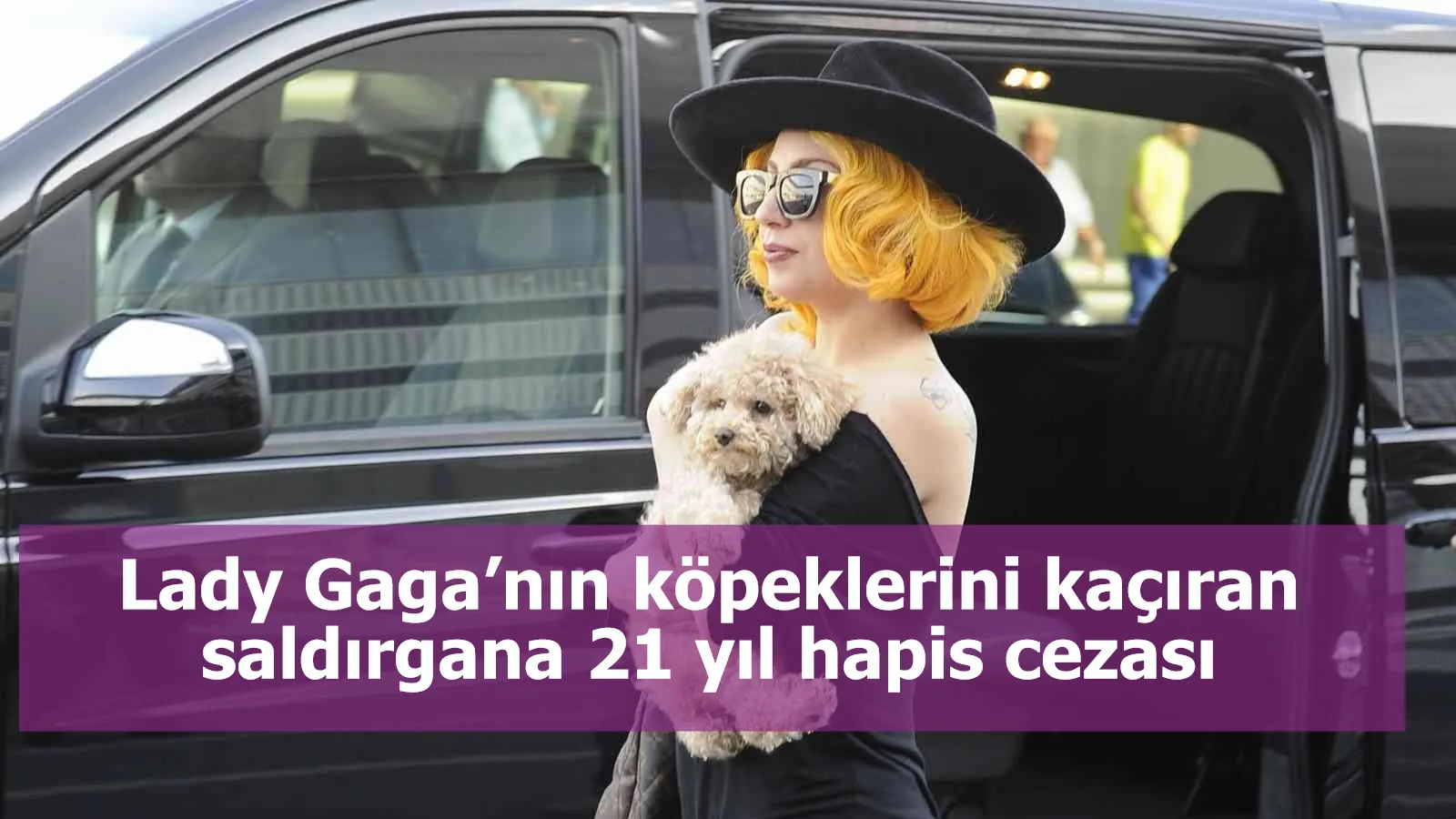 Lady Gaga’nın köpeklerini kaçıran saldırgana 21 yıl hapis cezası