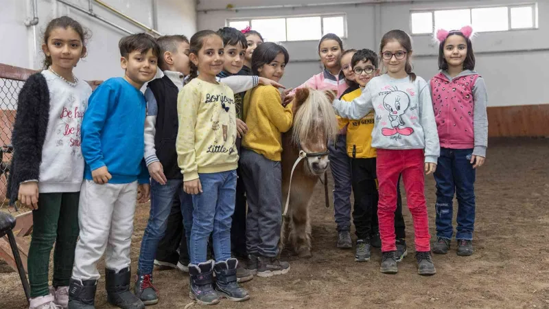 Manej alanı ve atçılık koordinatörlüğü hizmetini sürdürüyor