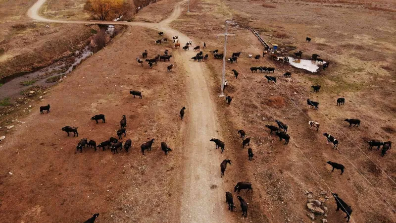 Cumhurbaşkanı açıkladı ilçe halkı daha fazla üretim için hızlandı