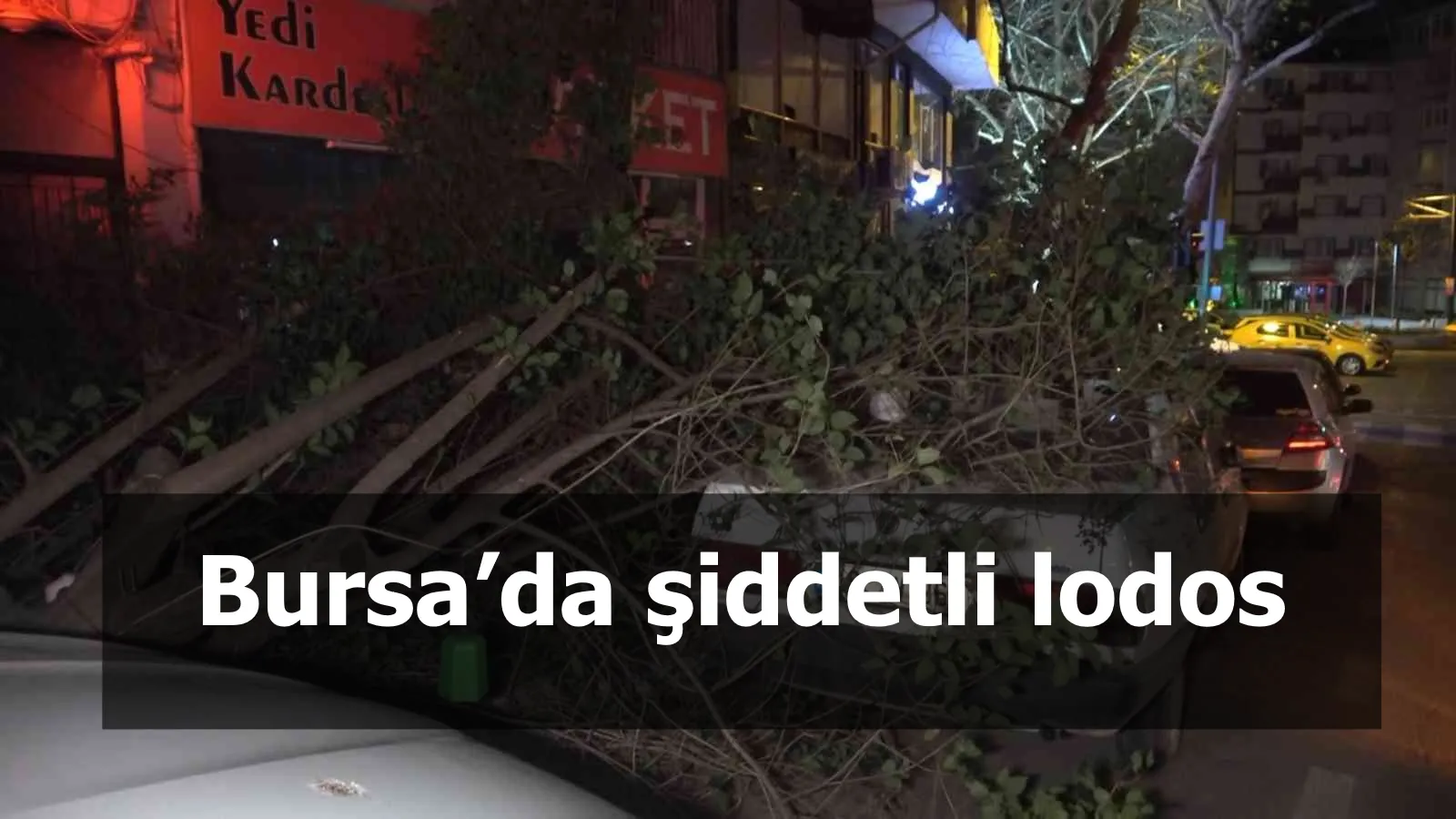 Bursa’da şiddetli lodos