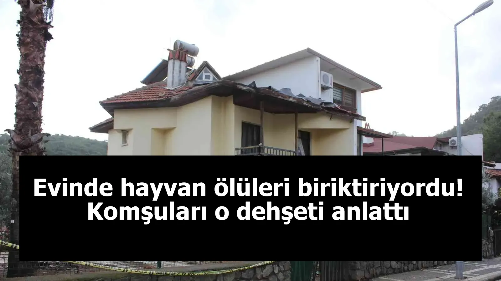 Evinde hayvan ölüleri biriktiriyordu! Komşuları o dehşeti anlattı