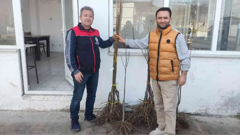 Coğrafi işaretli kestane balına lezzet katacak