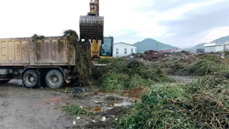 Ortaca’da yeşil alanlarda bakım çalışmaları