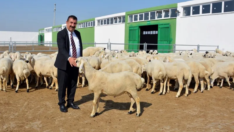 TÜDKİYEB Genel Başkanı Çelik: “Türkiye’nin yüzyılında küçükbaşı atağa geçirecek hamleler yapılmalı”