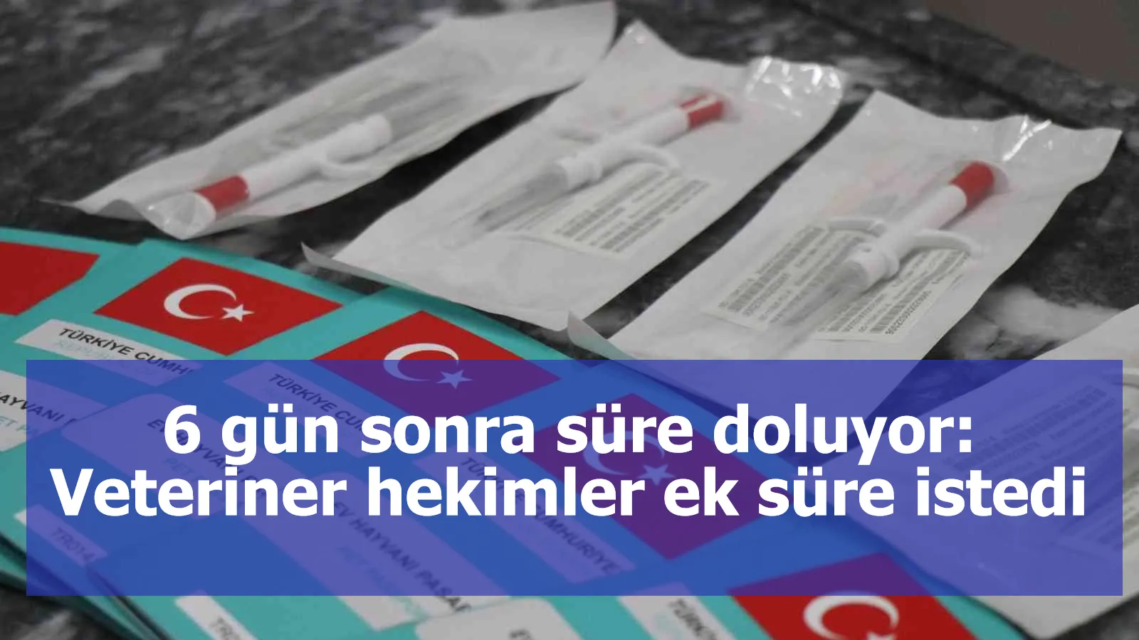 6 gün sonra süre doluyor: Veteriner hekimler ek süre istedi