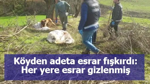 Köyden adeta esrar fışkırdı: Her yere esrar gizlenmiş