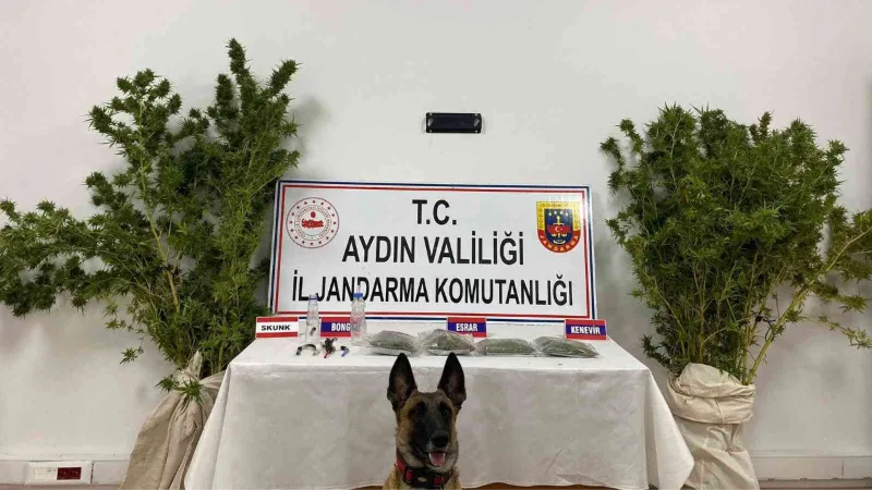 Aydın’da Jandarmanın kaçakçılık operasyonlarının bilançosu açıklandı