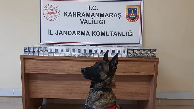 Kahramanmaraş’ta kaçakçılıkla mücadele