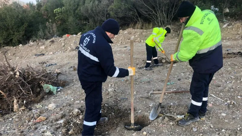 Kocaeli Büyükşehir bir yılda 124 bin 779 fidanı toprakla buluşturdu