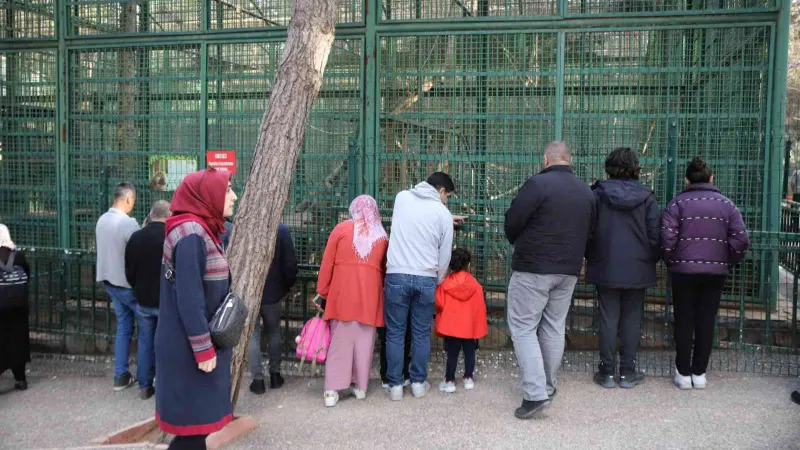 Karneyi alan hayvanat bahçesine koştu