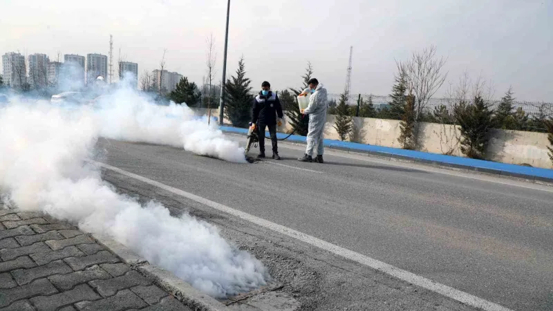 Talas’ta sinek ve haşerata erken önlem