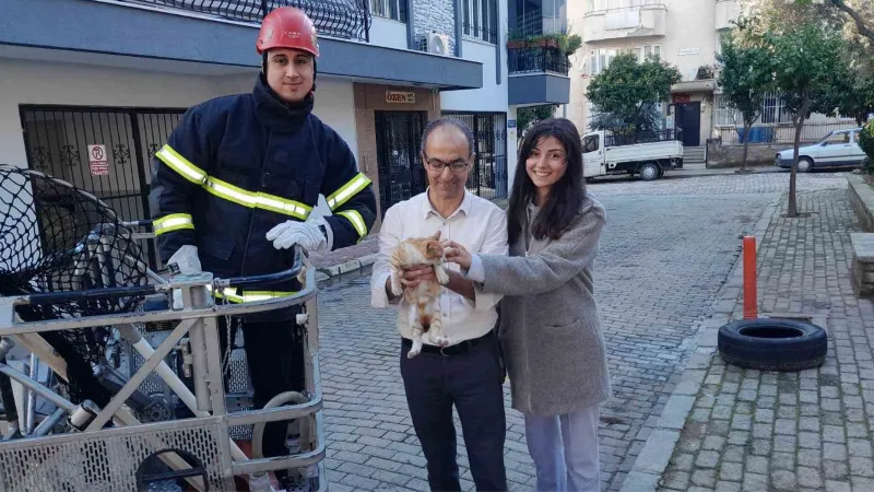 Ağaçta mahsur kalan kedinin imdadına itfaiye ekipleri yetişti