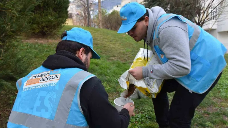 Can dostlarına ‘Yıldırım’ şefkat