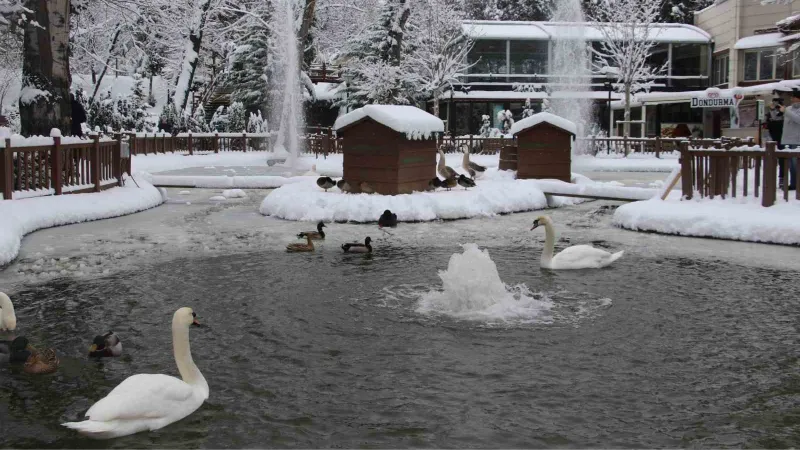 Kuğulu Park’ta kar coşkusu