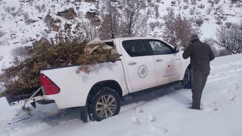 Adıyaman’da doğaya yem bırakıldı