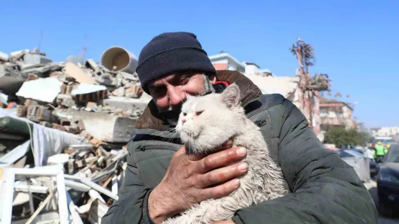 Depremde kaybolan kedisine 5 gün sonra kavuştu, bulan kişinin verdiği cevapla bir kez daha mutlu oldu