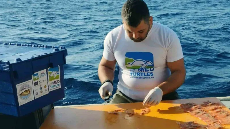 Kaplumbağa dışlama cihazı testleri devam ediyor