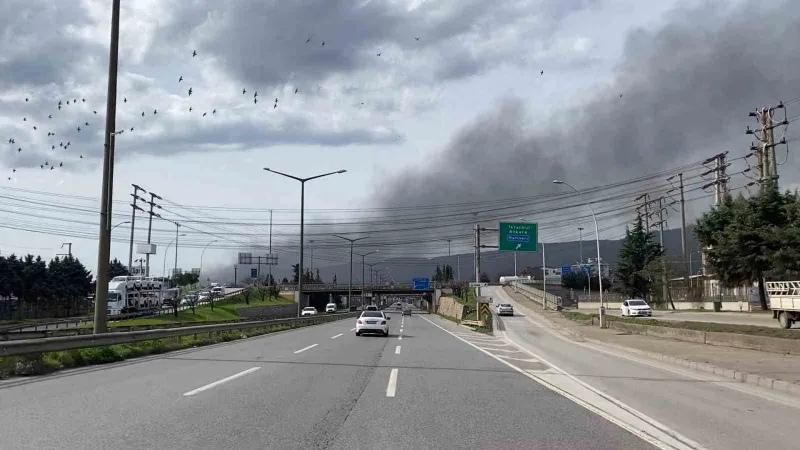 Kocaeli’de fabrikada çıkan yangın korkuttu